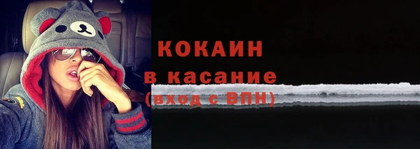 твердый Костерёво