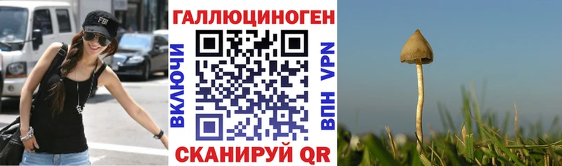 Псилоцибиновые грибы GOLDEN TEACHER  Купить где  Батайск 